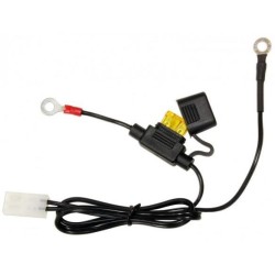 Cable chargeur batterie pour ACCUGARD-900 avec fusible
