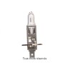 Osram - Ampoule H1 - 12V 55W P14.5s