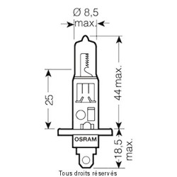 Osram - Ampoule H1 - 12V 55W P14.5s