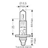 Osram - Ampoule H1 - 12V 55W P14.5s