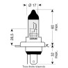 Osram - Ampoule H4 - 12V 60/55W P43t