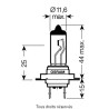 Osram - Ampoule H7 - 12V 55W Px26d