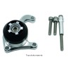 Protection de carter pour Triumph Daytona 675 2006-2012
