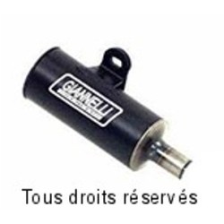 Silencieux GIANNELLI pour LML Star 4 125 ie 2011