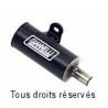 Silencieux GIANNELLI pour LML Star 4 125 ie 2011