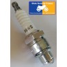 Spark plug NGK type B6HS