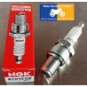 Bougie NGK racing type B105EGP