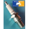 Spark plug NGK racing type B105EGP