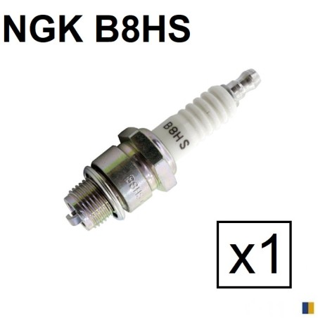 Bougie d'allumage NGK type B8HS (5510)