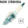 Bougie d'allumage NGK type CR6HSA (2983)