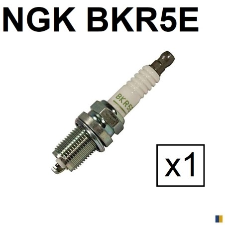 Bougie NGK BKR5E - Polaris 300 Sportsman 2008-2010