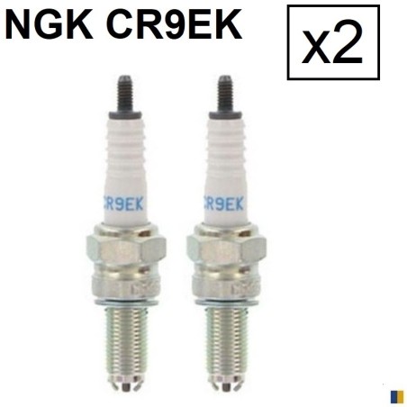 Lot de 2 bougies d'allumage NGK type CR9EK