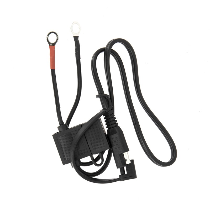 Câble à oeillets avec fusible pour chargeur de batterie