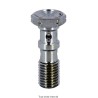 Vis acier chromée pour double banjo M10x1.25