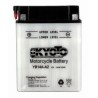 Batterie KYOTO type YB14A-A2