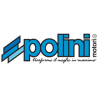 Polini