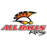 All Balls Racing